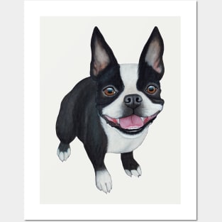 Boston Terrier Posters and Art